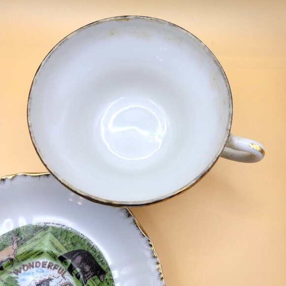 Vintage Fairway Japan Wonderful Wisconsin Souvenir Tea Cup & Saucer Set jj3657 - Picture 7 of 9